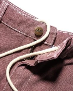 Washed Canvas Double Knee Pants, Brick -Butter Goods DSC08309